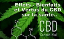 Quels sont les bienfaits réels du CBD