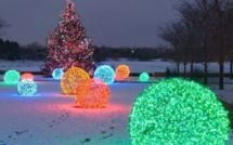 Déco de Noël : faire une boule lumineuse pour le jardin