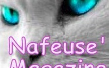 Publier ou partager un article sur Nafeusemagazine