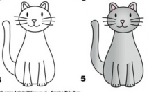 Tutoriels dessiner un chat