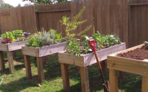 Faire son jardin ou son potager en carrés, des modèles, des tutoriels