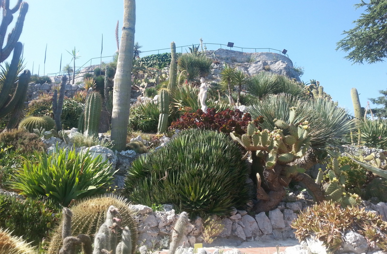 jardin cactus EZE (3)