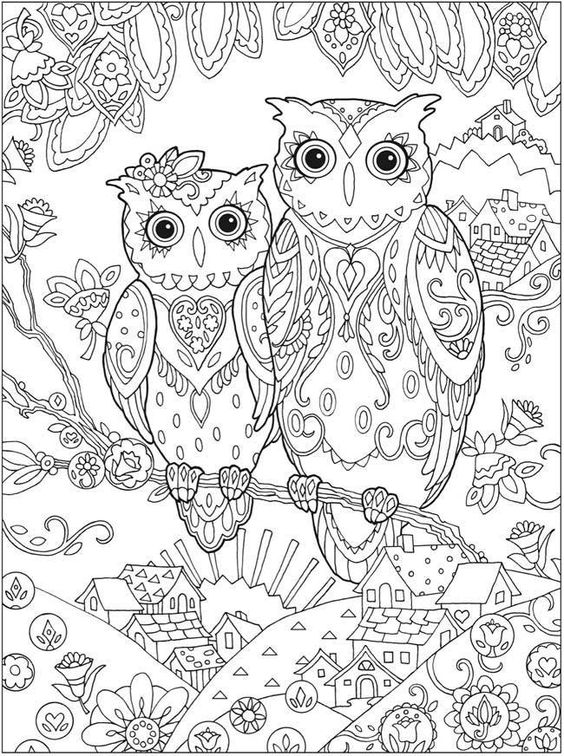 coloriage anti-stress CHOUETTE