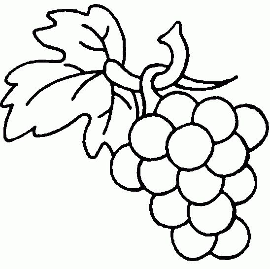 dessin grappe raisins