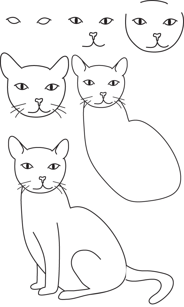 modèle dessiner chat