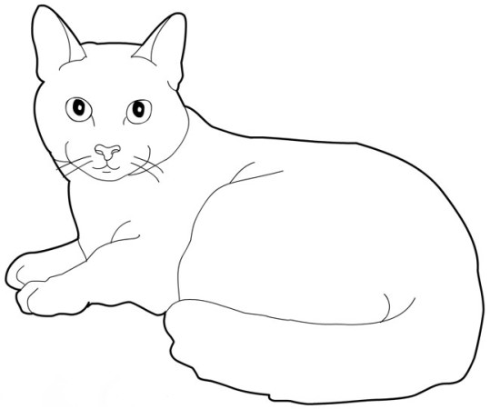 dessin chat à colorier