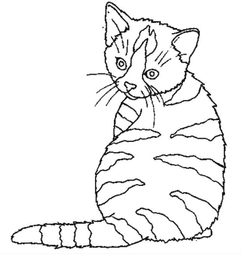 dessin chat coloriage