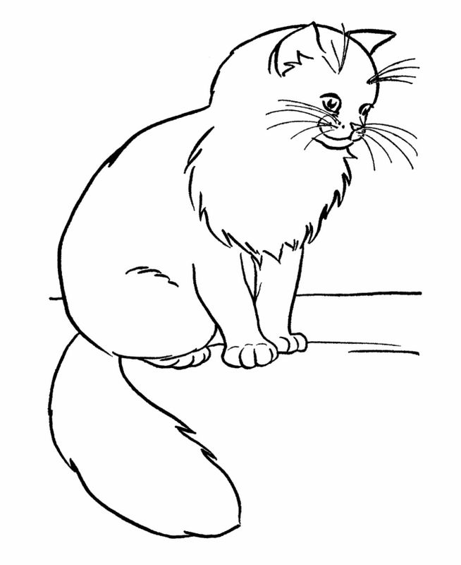 dessin jolie chat