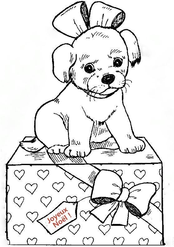 dessin chien cadeau