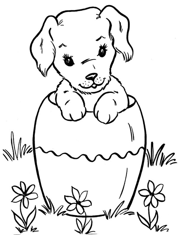 dessin chien vase