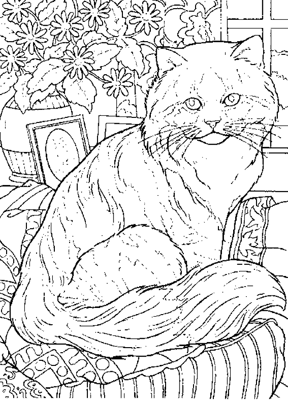 Veloster Price Uae Get 29 Coloriage Anti Stress Coloriage De Chat Pour Adulte Coloriage Adulte Veloster Price Uae Get 29 Coloriage Anti Stress Coloriage De Chat Pour Adulte Coloriage Adulte