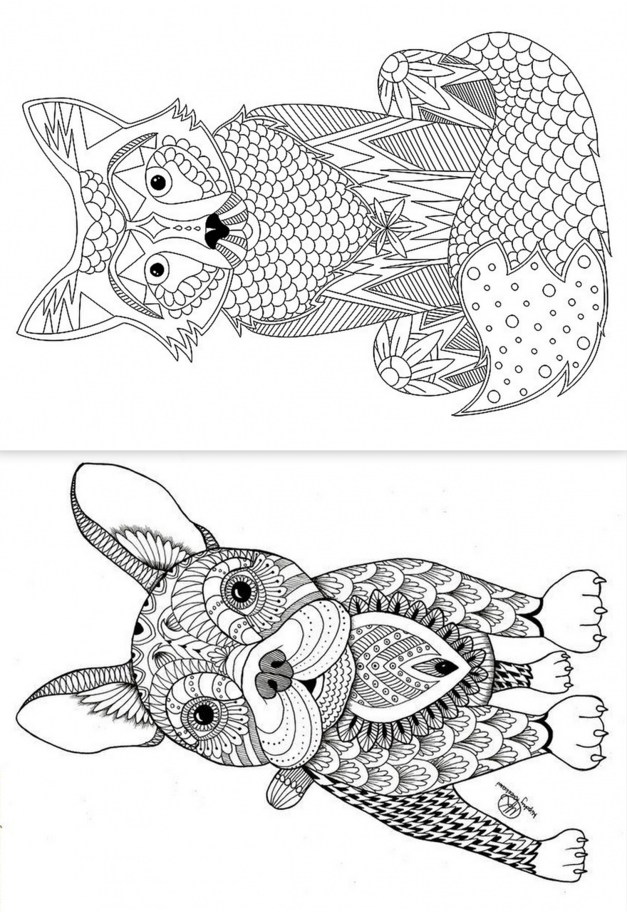 2 jolis coloriages adultes  COLORIAGE ANTISTRESS  Galerie  Nafeuse