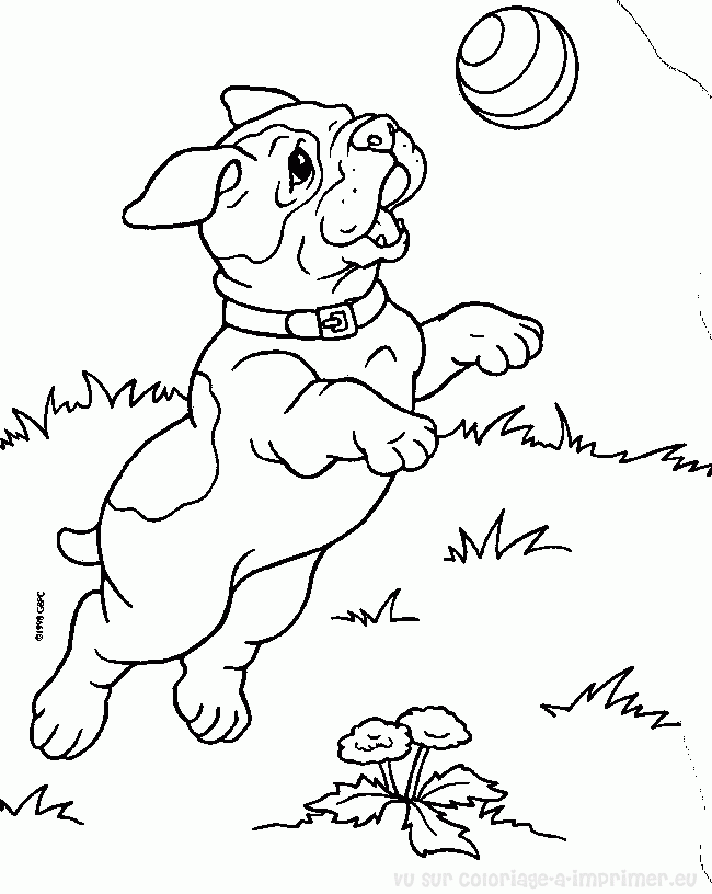 Coloriage bouledogue français  DESSINS CHIENS  Galerie  Nafeuse'Magazine